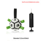The PawPlay™ Dog Soccer Ball Toy
