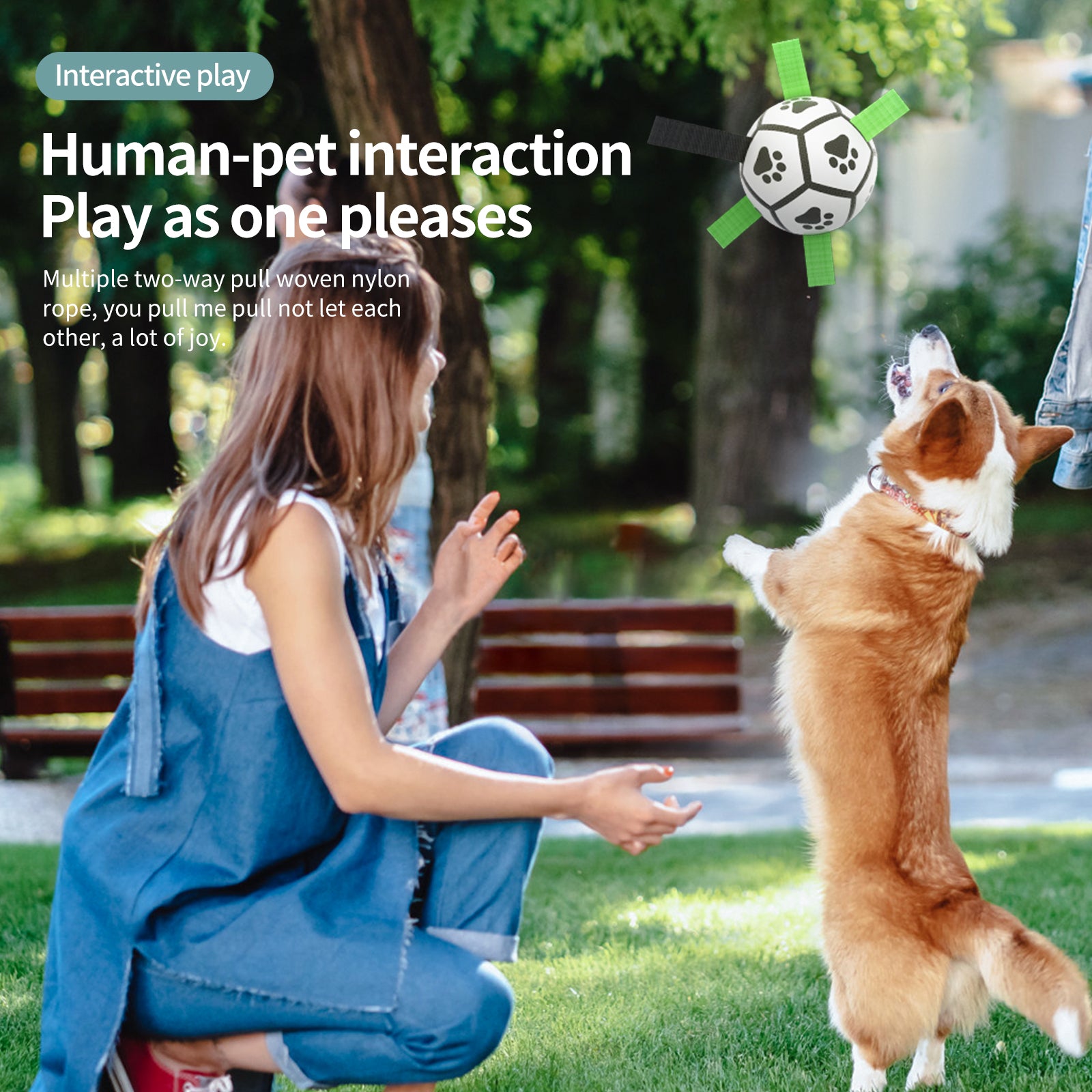 Interactive Dog Soccer Ball Toy