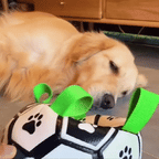 The PawPlay™ Dog Soccer Ball Toy